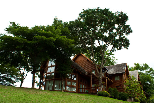 villa in forest