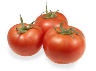 Three tomato isolated on white background