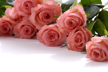 Fototapeta na wymiar Pile of pink rose blossoms on white