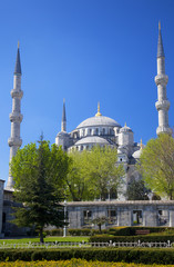 Fototapeta na wymiar Blue mosque / Istanbul, Turkey