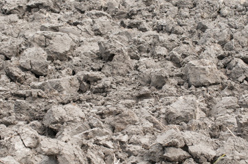 A ploughed soil ready for agriculture