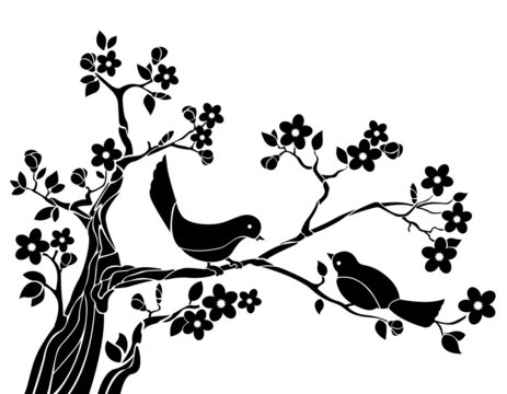 Birds on a branch of sakura