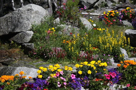 jardin de rocaille