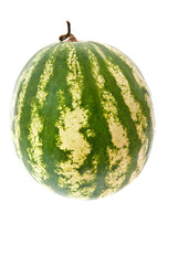 Fresh watermelon