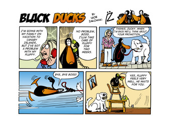 Fototapeta na wymiar Black Ducks Comic Strip episode 50