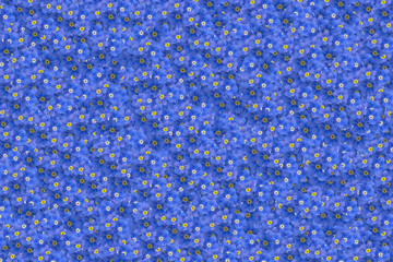 forget-me-not background