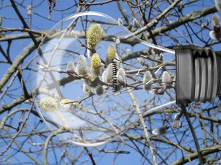 Bioenergie - bioenergy !