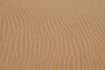sand ripple texture