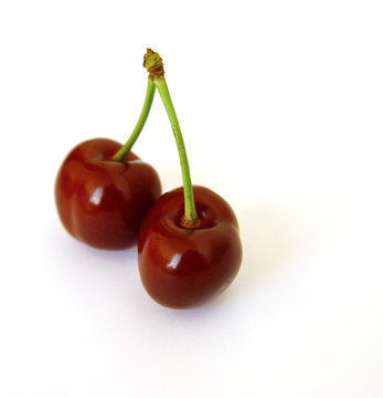 two cherry on a branch on a white background