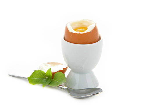 œuf à la coque sur fond blanc