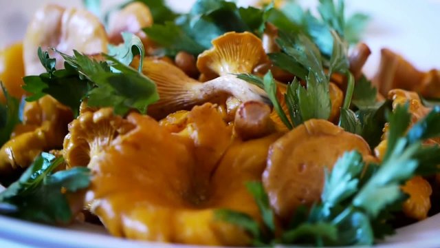 Chanterelle with Herbs Turning