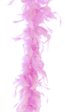 4,800+ Feather Boa Stock Photos, Pictures & Royalty-Free Images - iStock