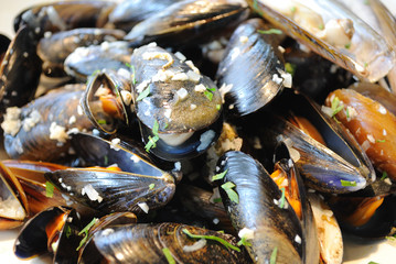 Muscles