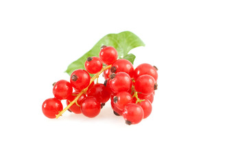 Freigestellte Johannisbeeren