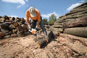 Worker cutting logs with a chainsaw