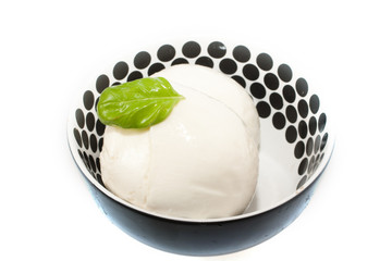 Schüssel mit frischem Mozzarella