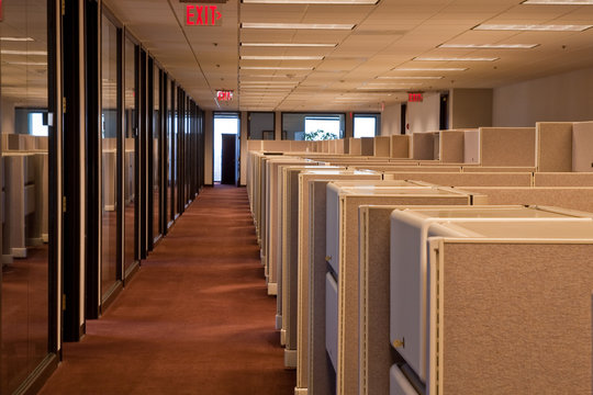 Rows of Cubicles in an Office