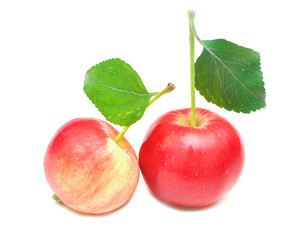 ripe red apple with green leaf