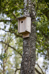 Birdhouse