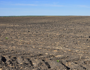 fertile, plowed soil of an agricultural field