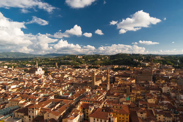 Fototapeta na wymiar Roofs, Santa Croce and Town hall of Florence