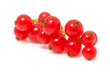 berries of red currant over white background