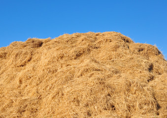 haystack
