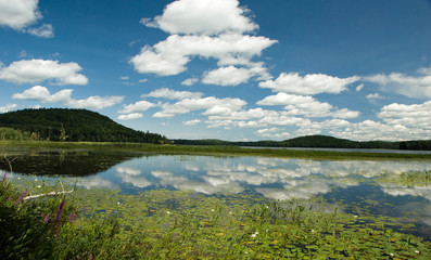 Fototapeta na wymiar Landscape over lake on a perfect summer's day