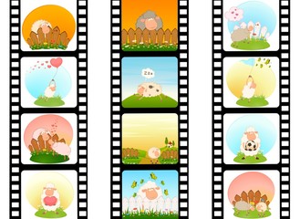 blank film colorful strip with sheep