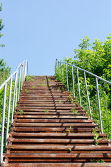 Stairs in a park
