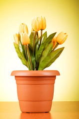 Bunch of tulip flowers on the table