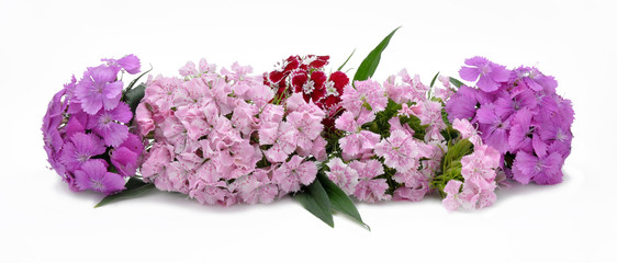 Bouquet from sweet-williams