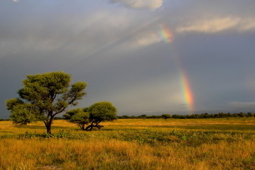Kalahari Sunset and Rainbow