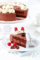 Delicious chocolate cake