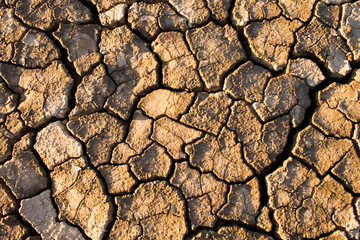 The soil in the fissures