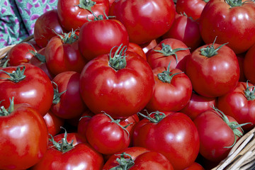 Red Ripe Tomatoes in Basket