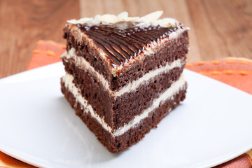 piece of chocolate cake