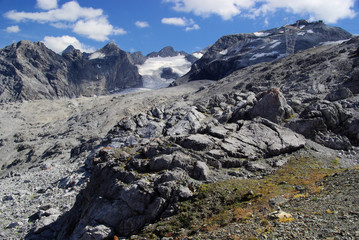 Fototapeta na wymiar Ortler Massiv - Ortler Alps 26