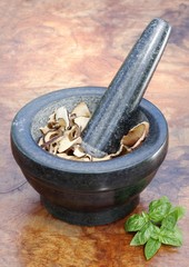 stone mortar with  herbs and mushrooms