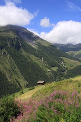 Fototapeta premium grenier suisse