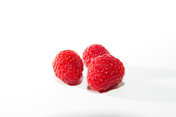 Himbeeren 04