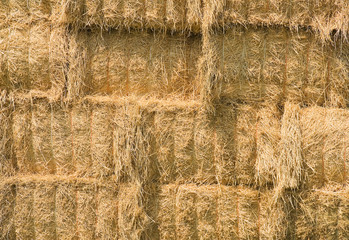 Close up of  yellow hay bales.