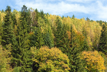 Autumn mountain hill  view