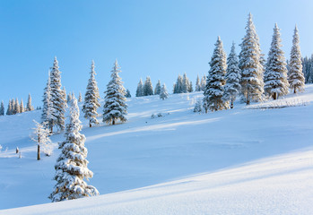 winter mountain landscape