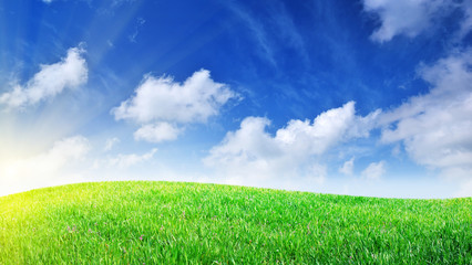 Grass and deep blue sky