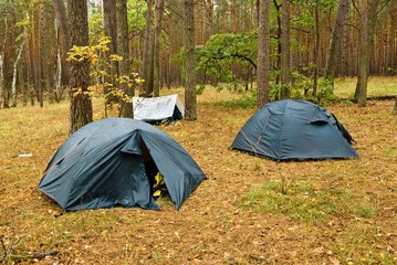 toutistic camp in a forest