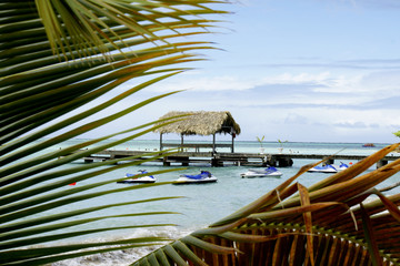 Tobago Pigeon Point