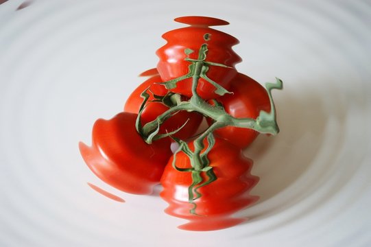 Strauchtomaten