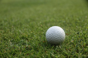Closeup of Golf Ball on Freshly Cut Fairway