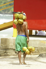 coconut seller on the beach